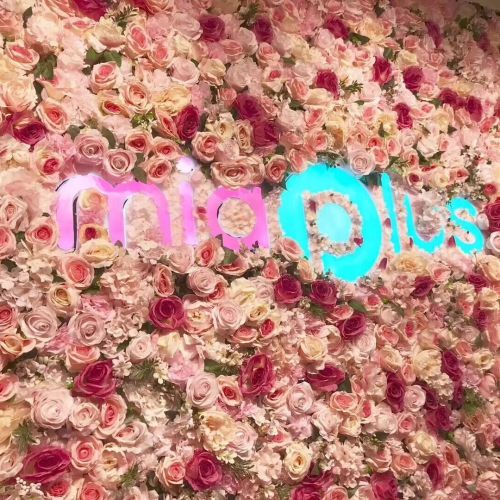 客至會員標桿案例 | 蜜芽