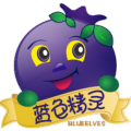 嘿！走起！摘蓝莓哟！