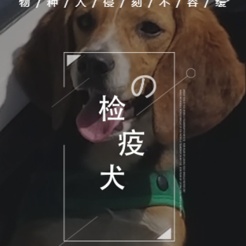 檢疫犬基地初成