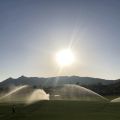 石岛高尔夫球会打孔公告