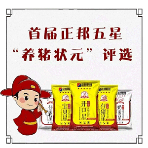 ×××××評選活動開始報名啦