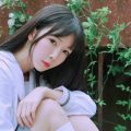 ?經典老歌《粉紅色的回憶》一代人的美好回憶