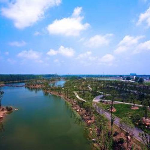 七月·月文明 |阜陽(yáng)市精神文明建設(shè)盤(pán)點(diǎn)