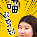 喵的驾到！