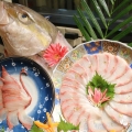 海钓鲜生