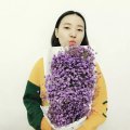 小仙女