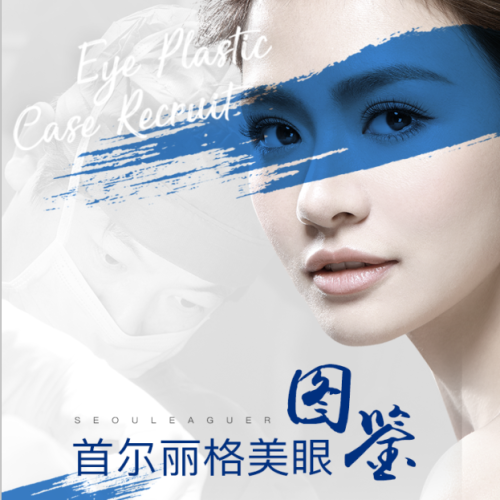 首尔丽格美眼图鉴