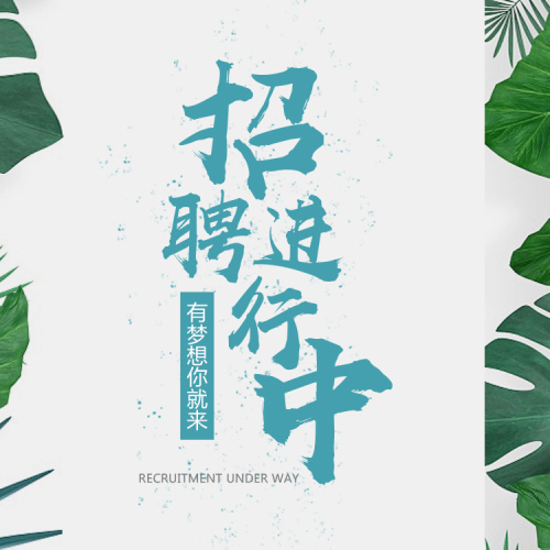 MSU SPA渼樹招聘