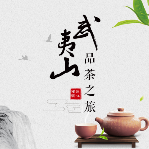 武夷山品茶之旅