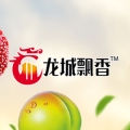 龍城飄香