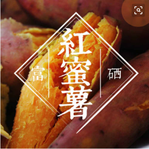 薯紅的故事