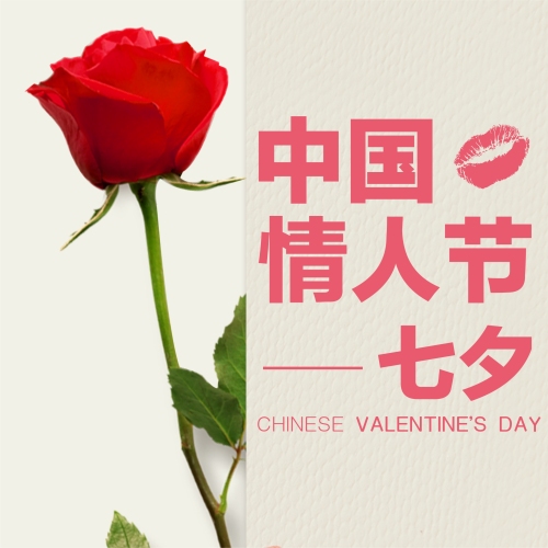 對(duì)你說(shuō)的情話  都是真話