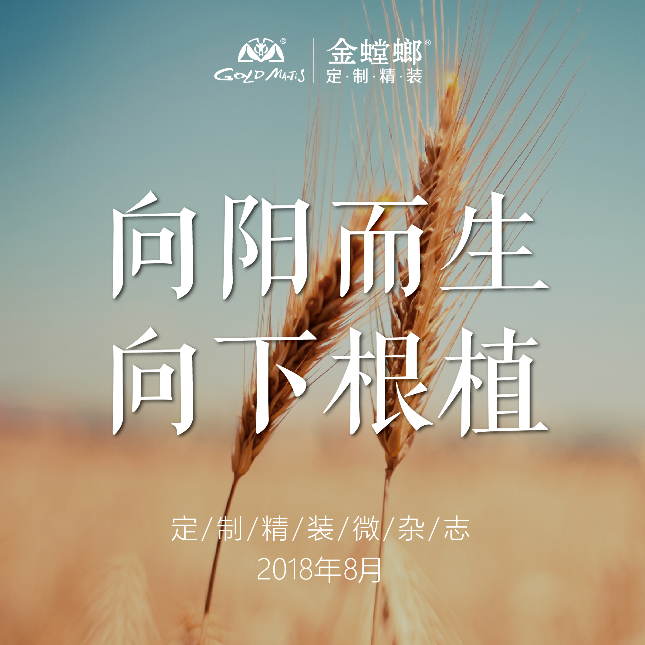 金螳螂•定制精装201808微杂志