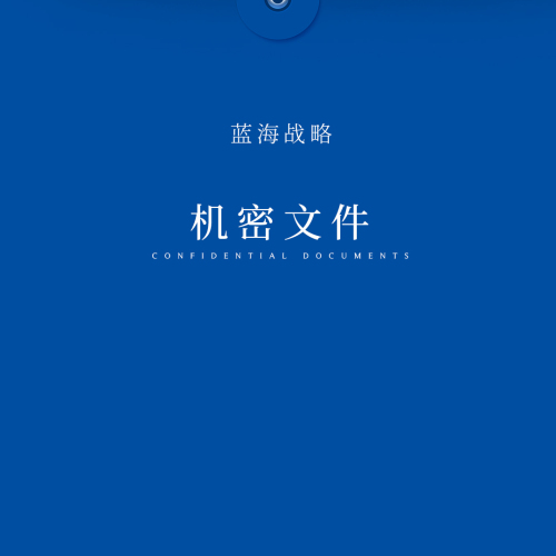 藍(lán)海戰(zhàn)略