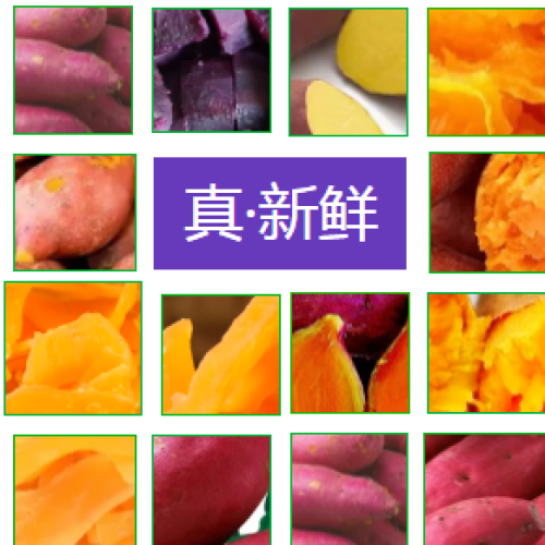 紅薯連鎖店模板