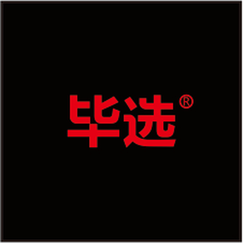 畢選為翔龍浩瀚文化傳播提供全案品牌策劃服務(wù)