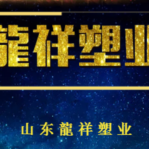山東龍祥塑業