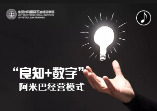 【精品课程】阿米巴经营模式