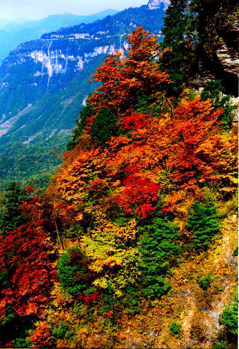最美秋色神农架