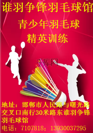 邯郸市精英羽毛球训练
