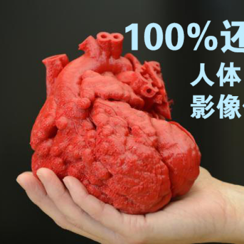 術(shù)前模擬醫(yī)療模型