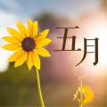 金地 · 都會(huì)藝境 | 5月工程進(jìn)度播報(bào)