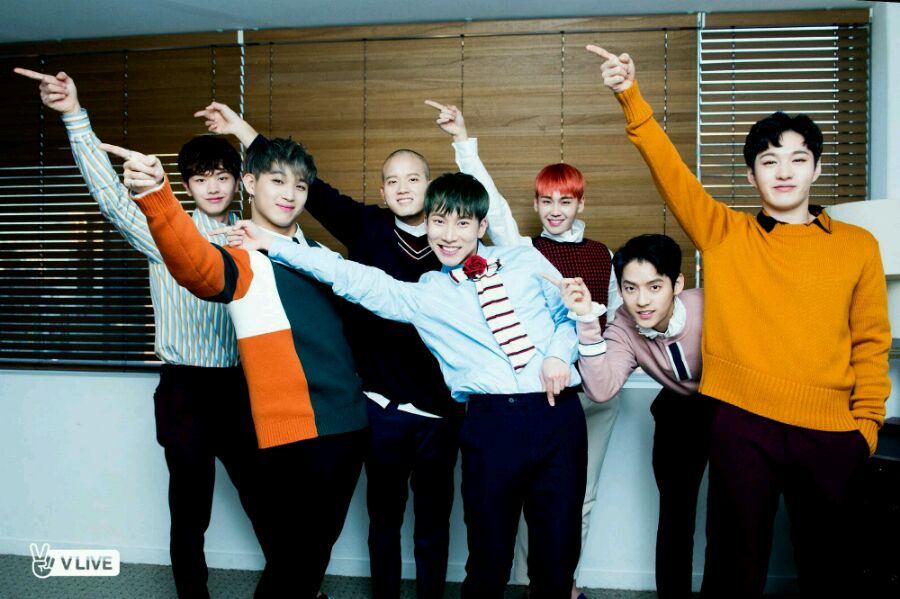 感恩节比兜店推广