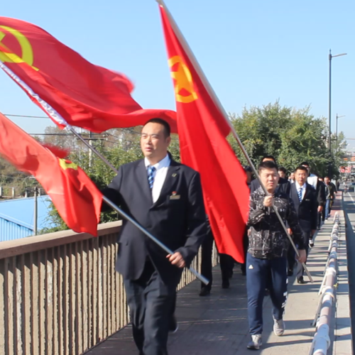 龍?zhí)渡秸军h總支