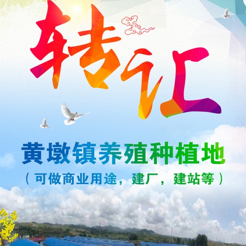 轉(zhuǎn)讓