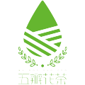 “五瓣花茶”VI系統(tǒng)手冊設(shè)計