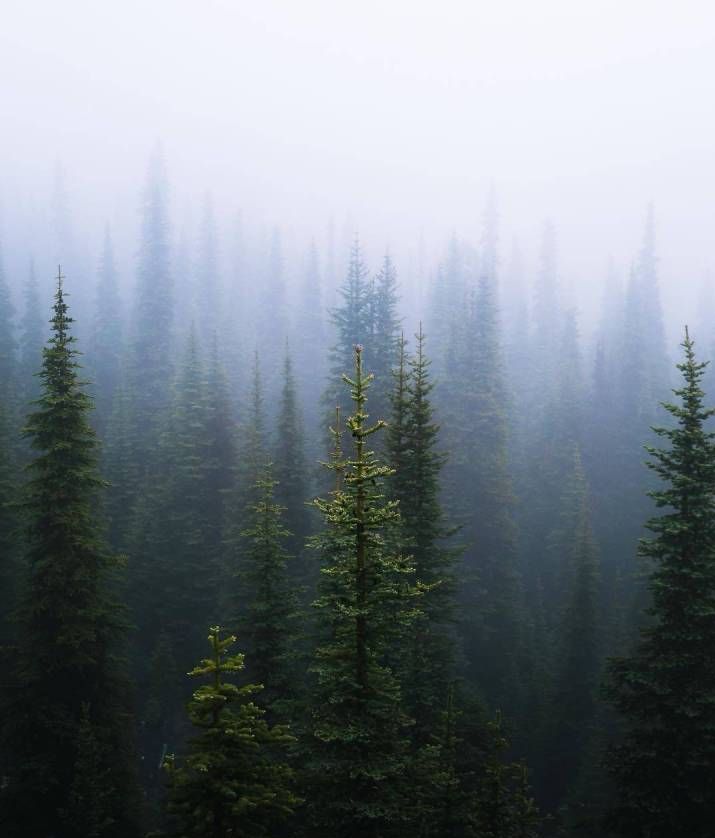 晚安