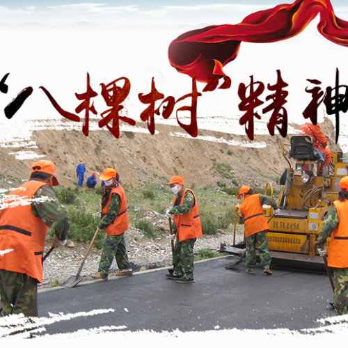 荒漠戈壁筑綠道   甘當(dāng)路石不言悔