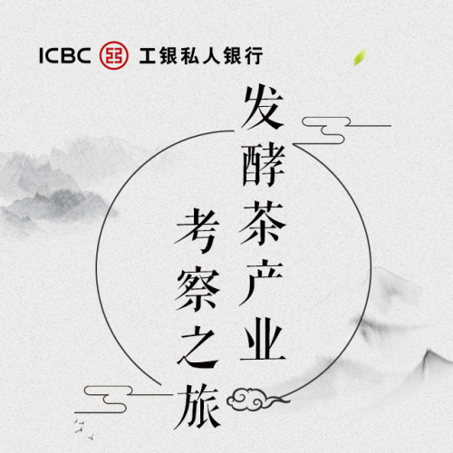 發(fā)酵茶產(chǎn)業(yè)考察之旅