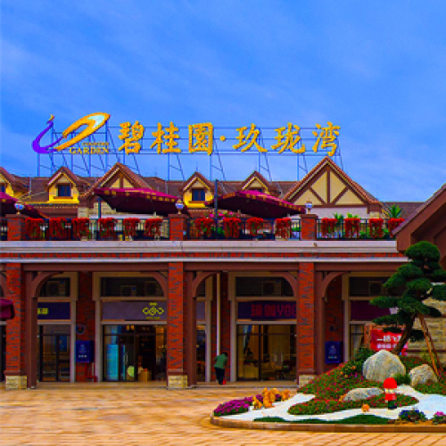 項(xiàng)目總規(guī)-碧桂園·玖瓏灣