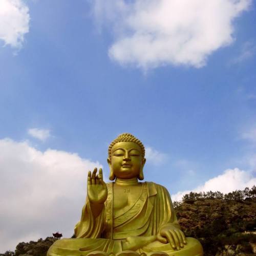 灌云縣發(fā)展家鄉(xiāng)促進會中秋理事會邀請函