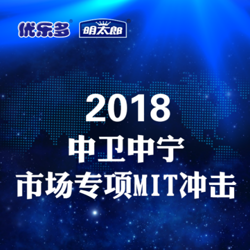中衛中寧市場專項MIT沖擊