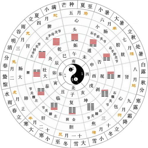 命理学基础