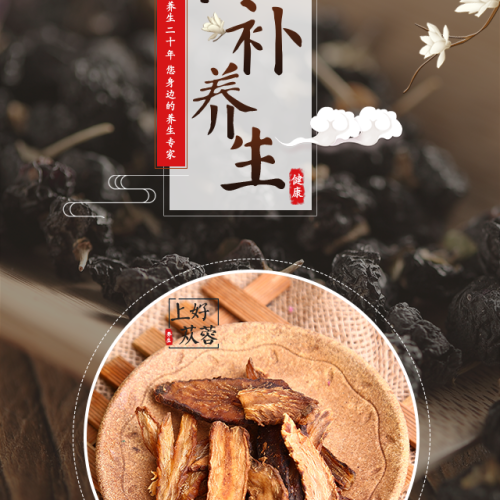 阿拉善左旗家乡美土特产