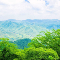 班級活動—莫干山之旅