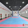 警體館及足球場設計征求意見