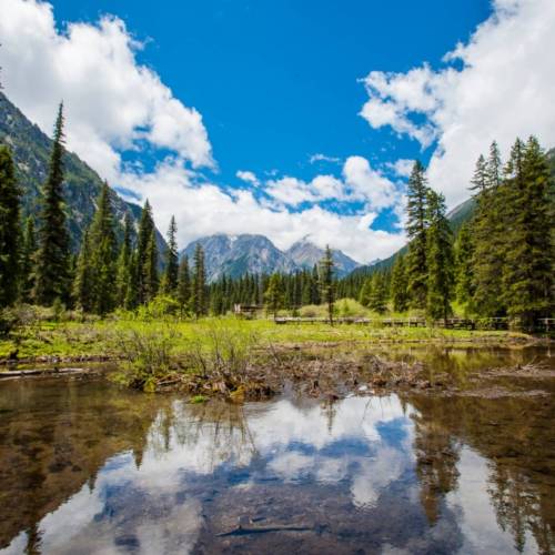 水闊山遙，云深不知