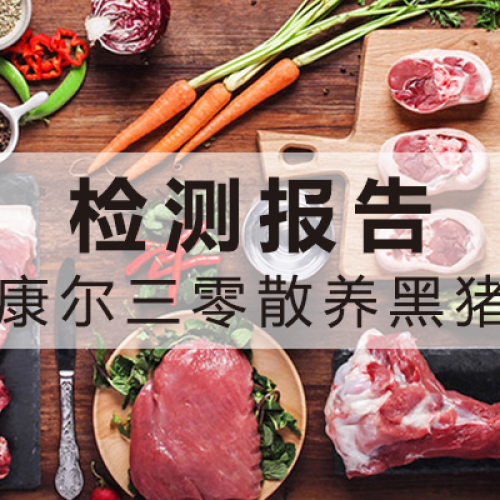 康爾三零產(chǎn)品檢測報告