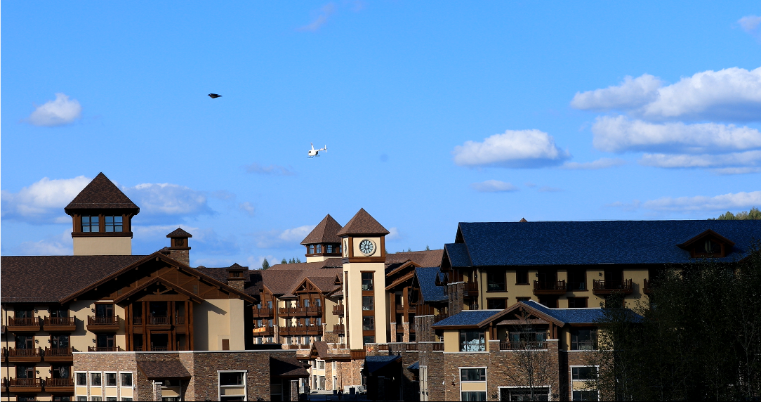 培训、学习、共同成长