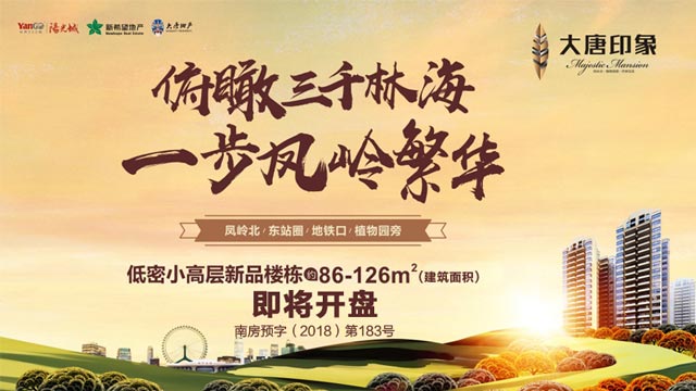 大唐印象新樓棟開盤