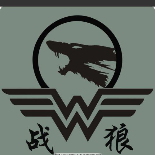 戰(zhàn)狼真人CS俱樂部