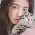 ?經典老歌《粉紅色的回憶》一代人的美好回憶
