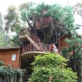 【信地·圣展樹屋酒店】