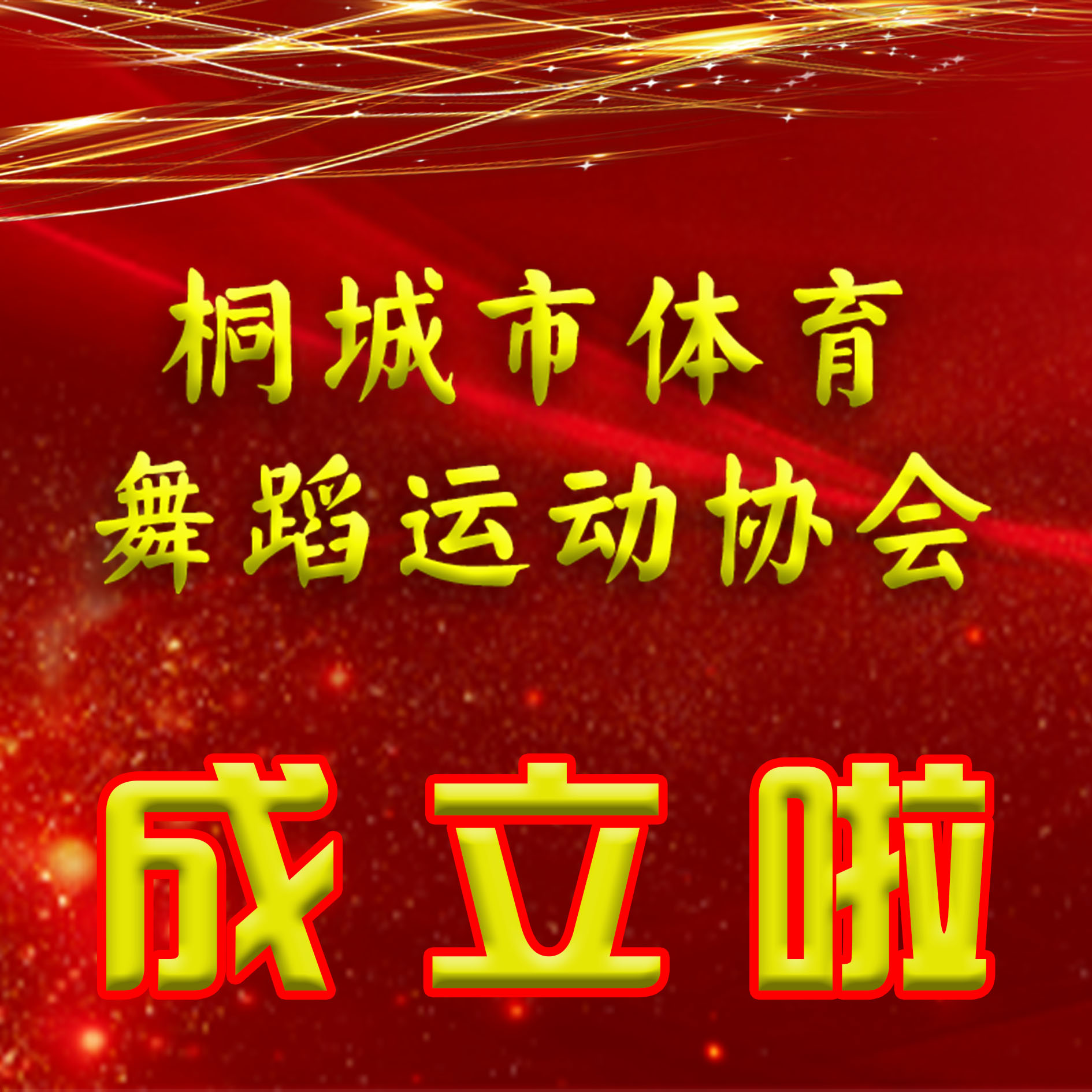 桐城市体育舞蹈运动协会