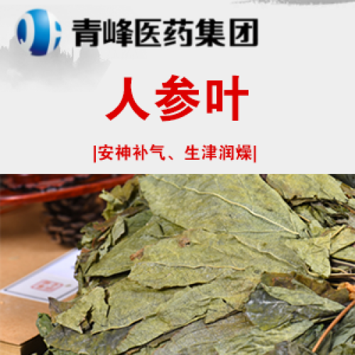 人參葉產(chǎn)品介紹