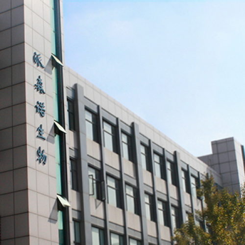 DNA合成簡介